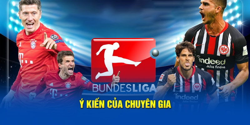 Ý kiến của chuyên gia 